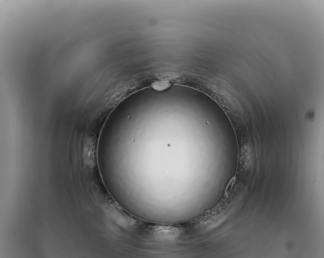 X0000094360234200711091522