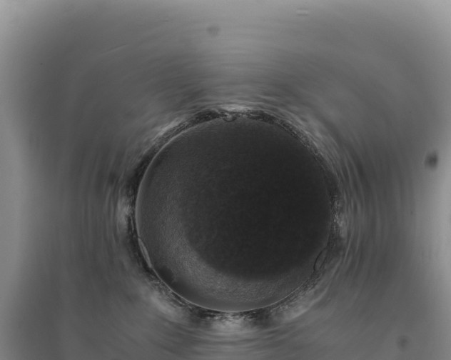 X0000094360235200711091522