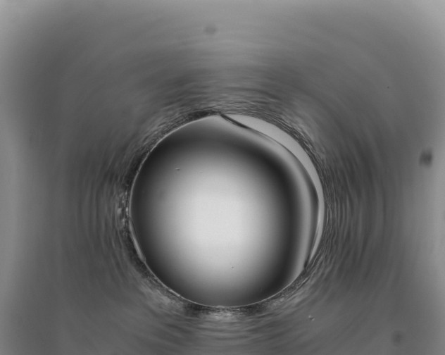 X0000094360237200711091522