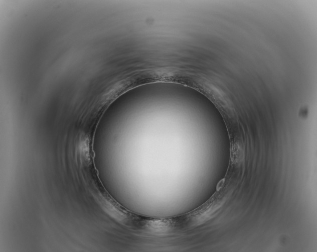 X0000094360238200711091522