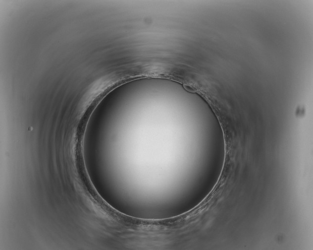 X0000094360242200711091521