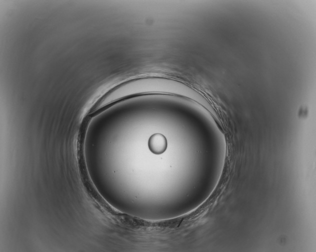 X0000094360244200711091521
