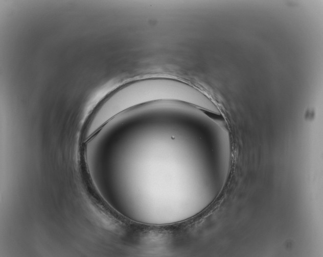 X0000094360248200711091521