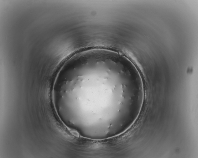 X0000094360249200711091521