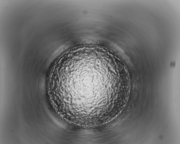 X0000094360250200711091521