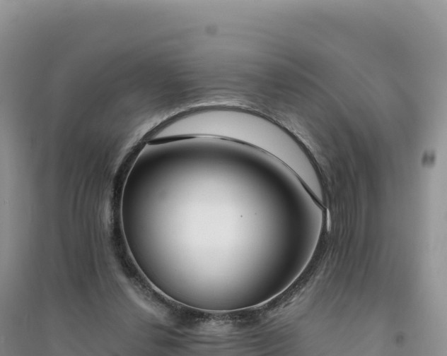 X0000094360252200711091521