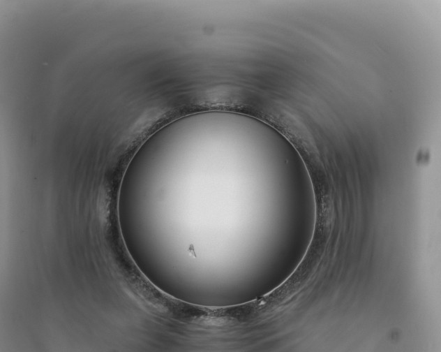 X0000094360255200711091521