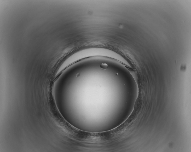 X0000094360260200711091521