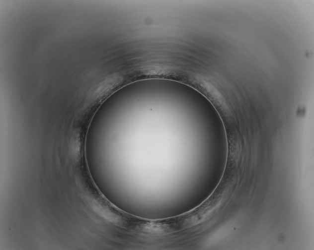 X0000094360261200711091521
