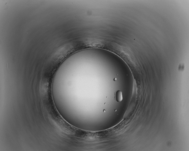 X0000094360263200711091521
