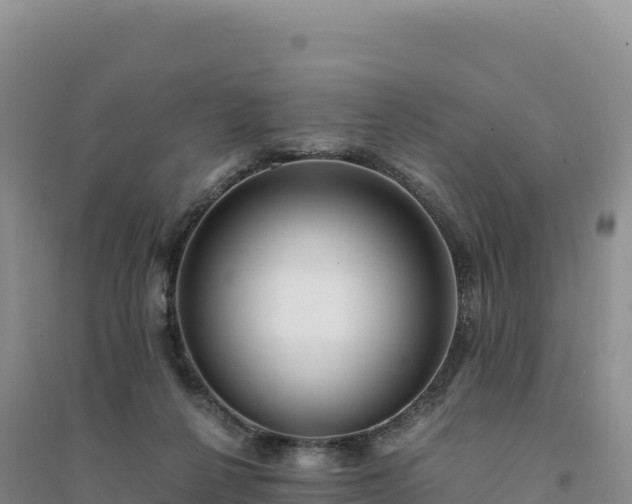 X0000094360264200711091521