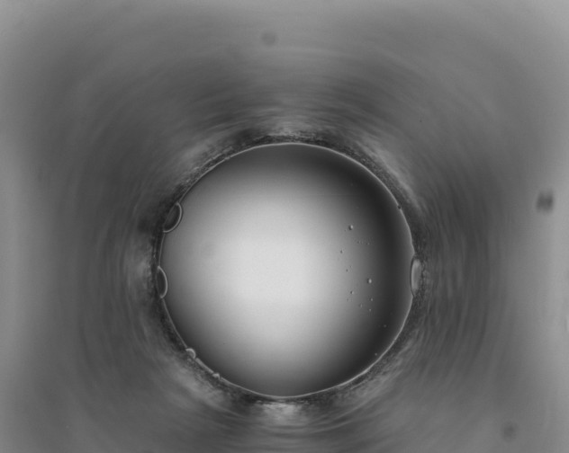 X0000094360265200711091521