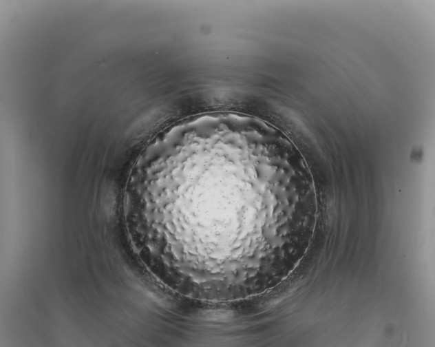 X0000094360266200711091521