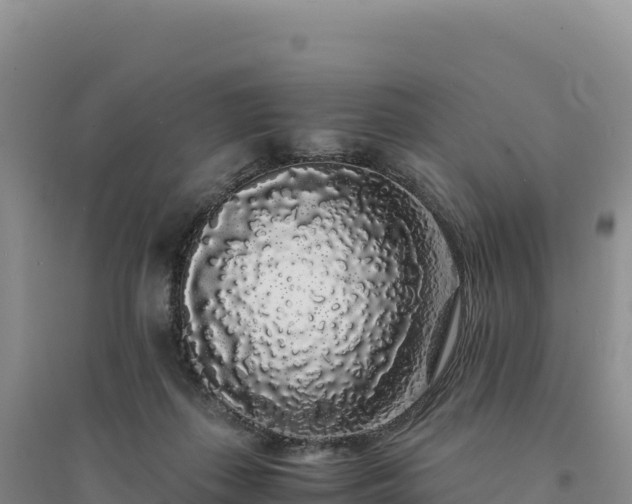 X0000094360267200711091521