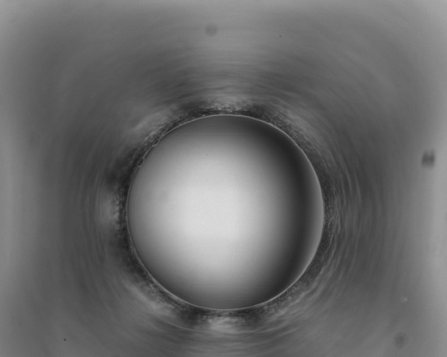 X0000094360268200711091521