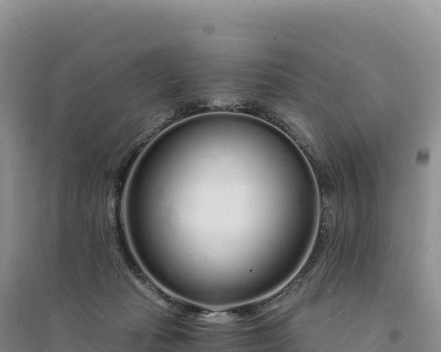 X0000094360269200711091521