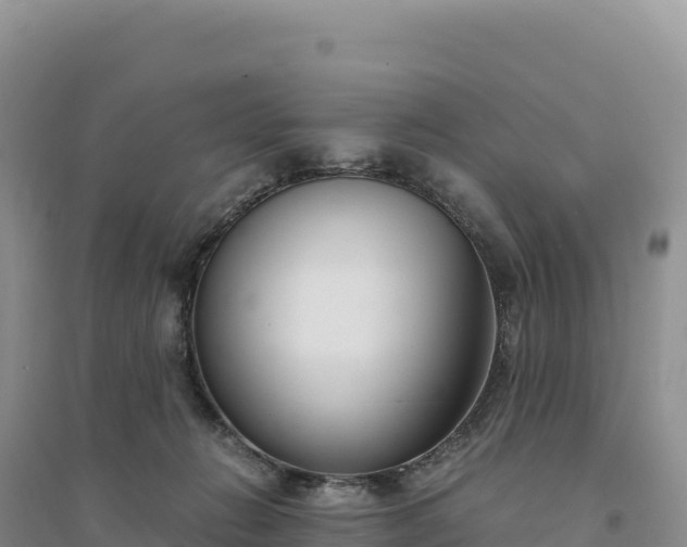 X0000094360270200711091521