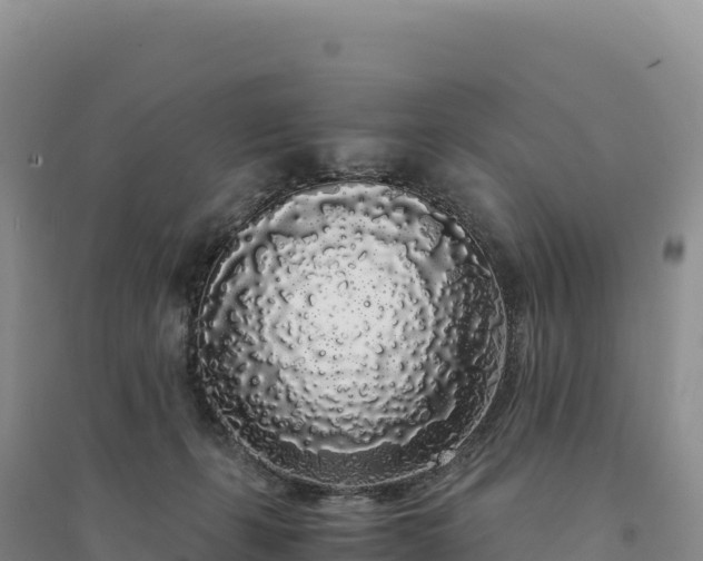 X0000094360271200711091521