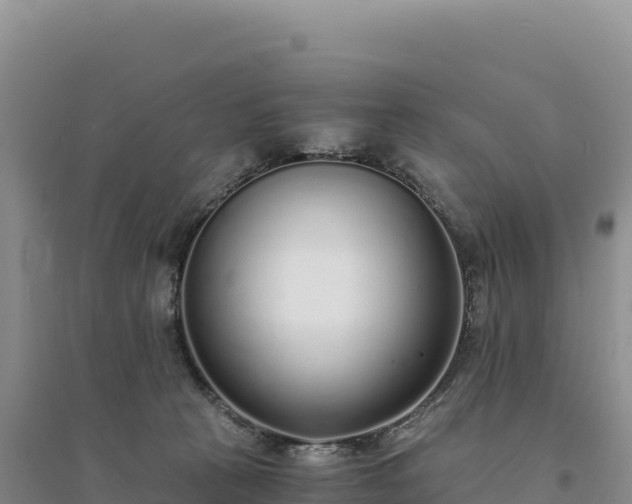 X0000094360273200711091521