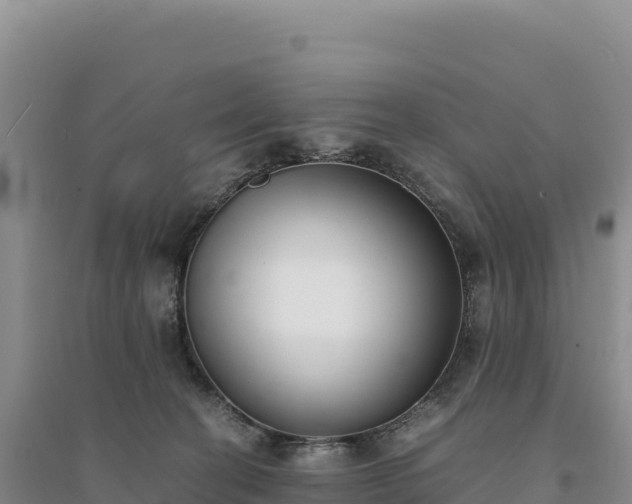 X0000094360274200711091521