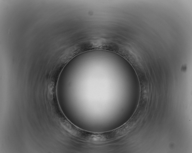 X0000094360275200711091521