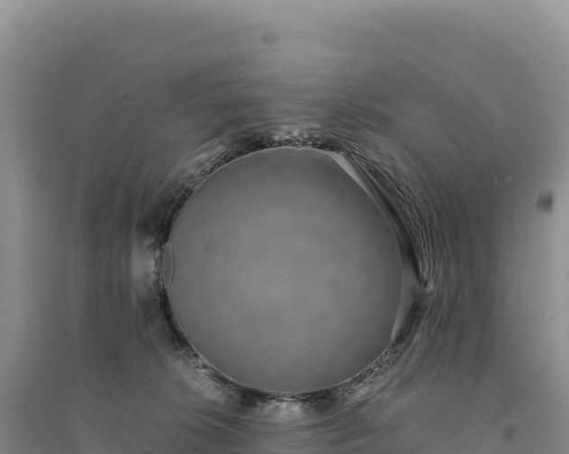 X0000094360276200711091522