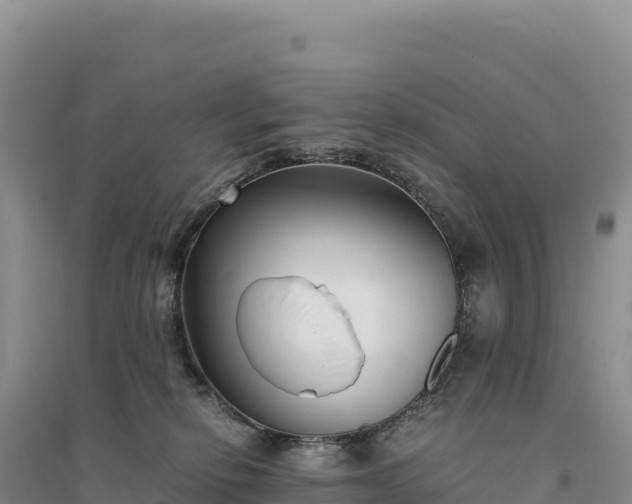 X0000094360278200711091522