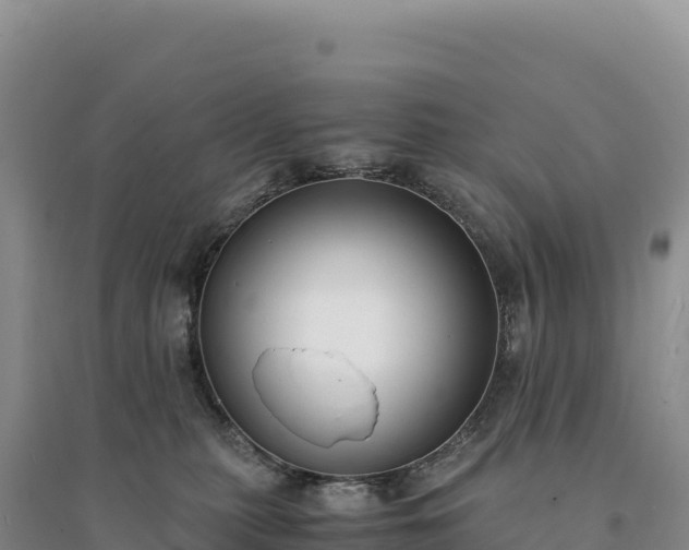 X0000094360279200711091522