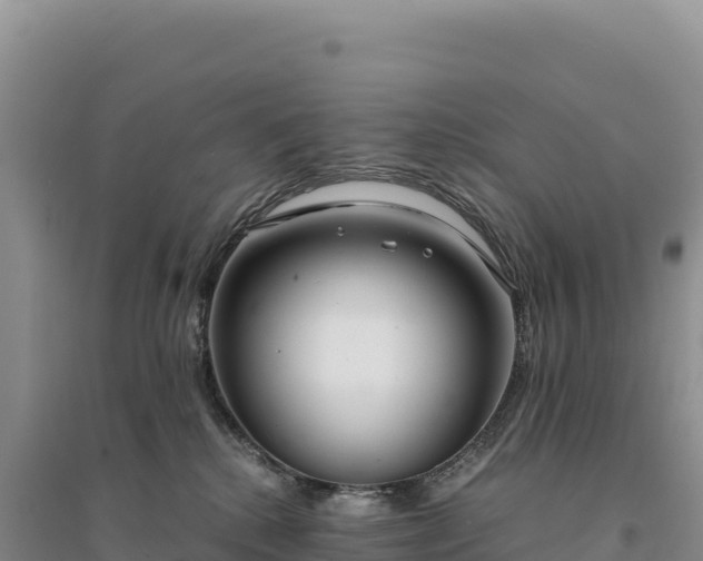 X0000094360280200711091522