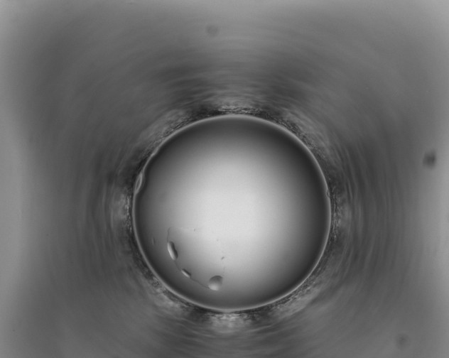 X0000094360281200711091522