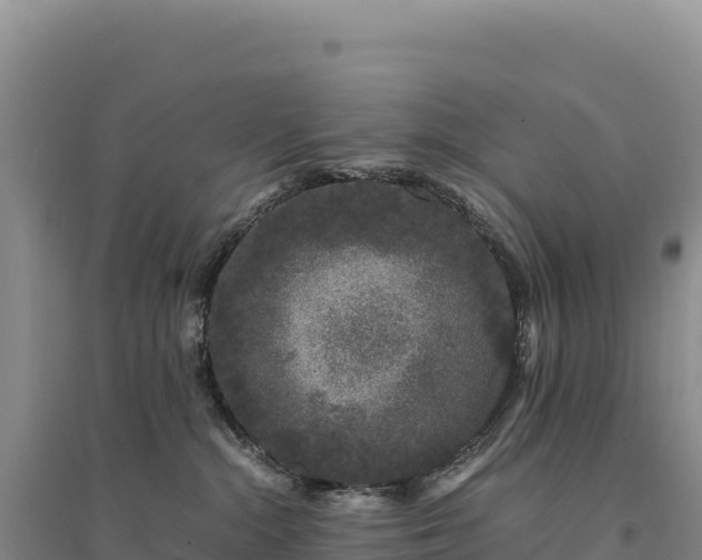 X0000094360284200711091522