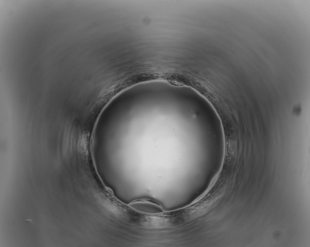 X0000094360286200711091522