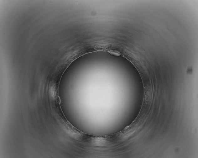 X0000094360287200711091522