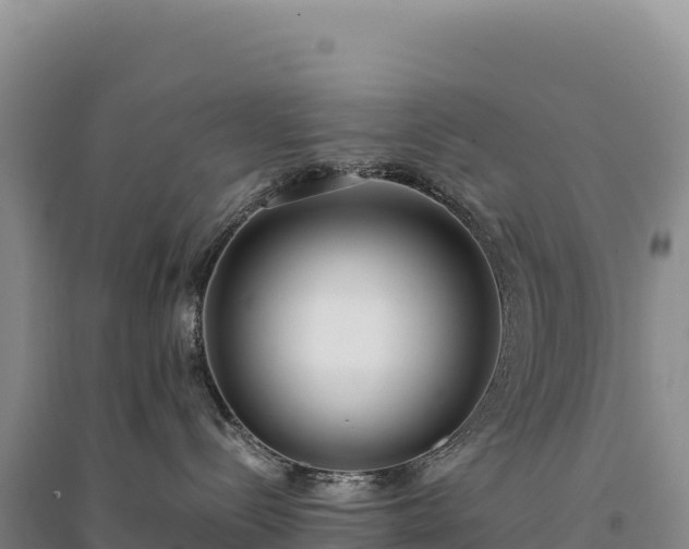 X0000094360288200711091522