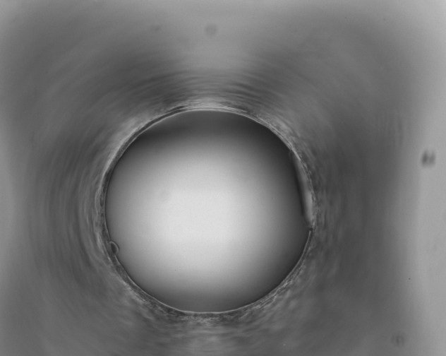 X0000094360289200711091521