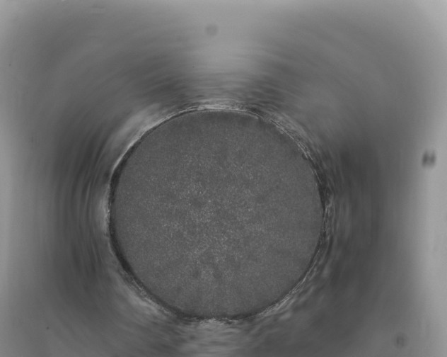 X0000094360290200711091521