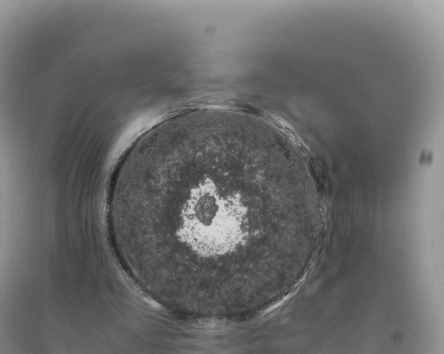 X0000094360293200711091521