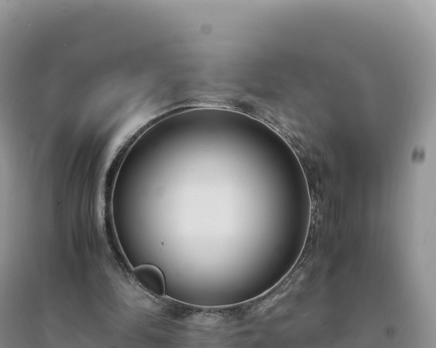 X0000094360294200711091521