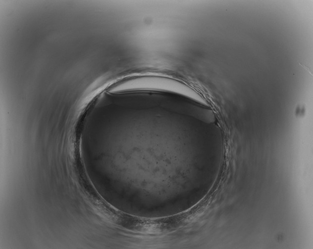 X0000094360295200711091521
