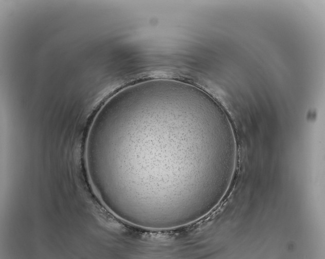 X0000094360297200711091521