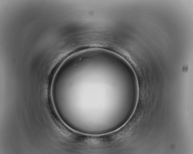 X0000094360299200711091521