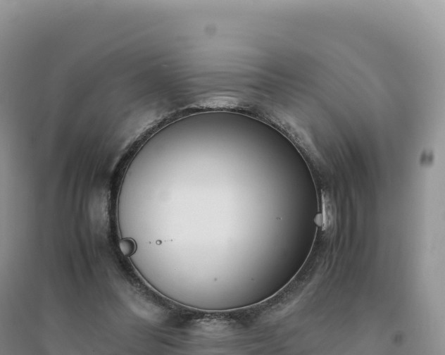 X0000094360300200711091521