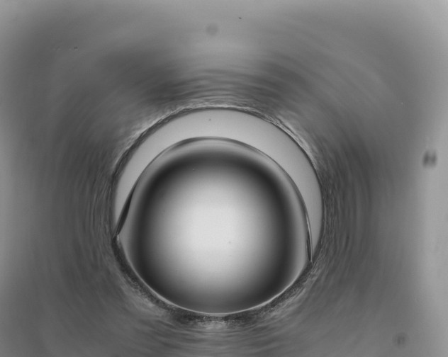 X0000094360301200711091521