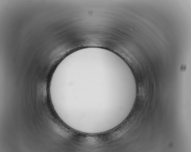 X0000094360302200711091521