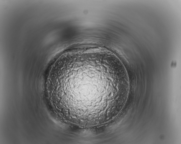 X0000094360303200711091521