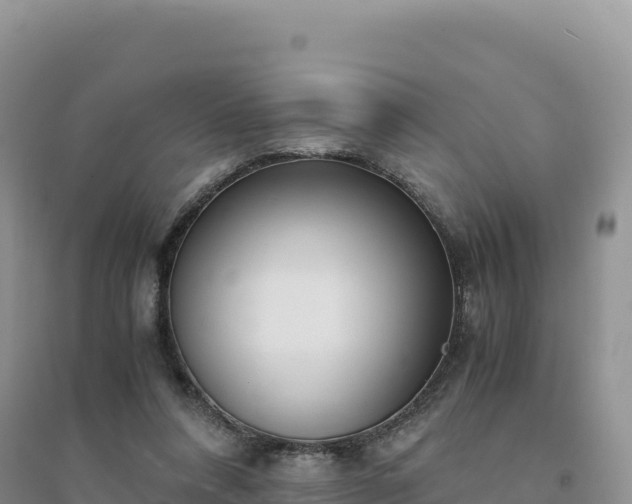 X0000094360304200711091521