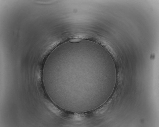 X0000094360305200711091521