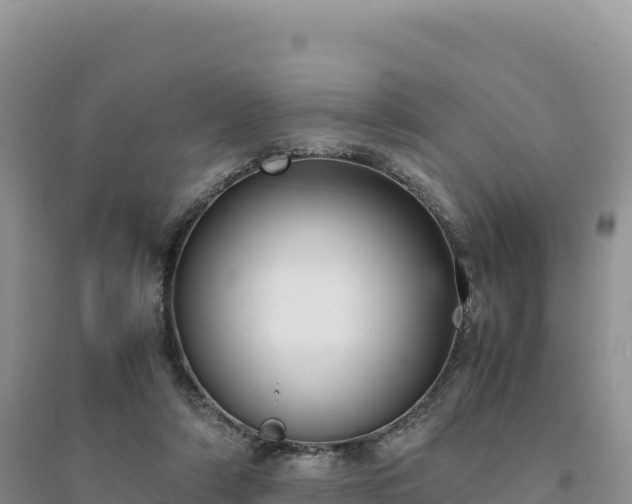 X0000094360306200711091521