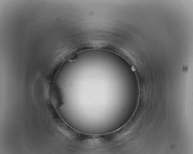 X0000094360307200711091521