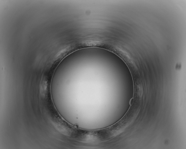 X0000094360308200711091521